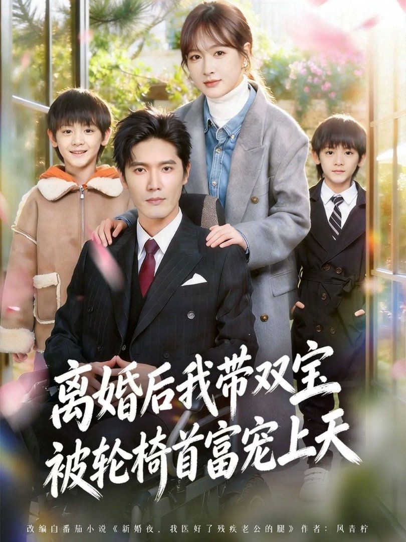 离婚后我带双宝被轮椅首富宠上天（离婚后，我被轮椅首富宠上天）
