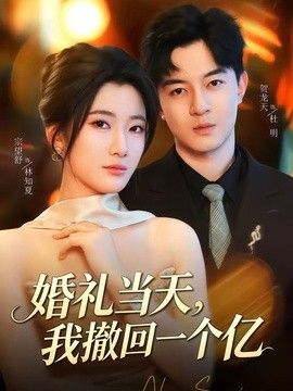 婚礼当天，我撤回一个亿手机电影