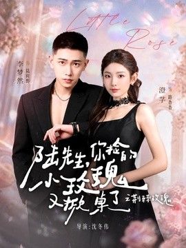 陆先生，你捡的小玫瑰又掀桌了之荆棘玫瑰（太子爷的小玫瑰又掀桌了）手机电影
