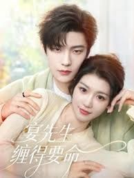 宴先生缠得要命手机电影