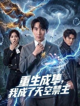 重生成隼，我成了天空禁主手机电影