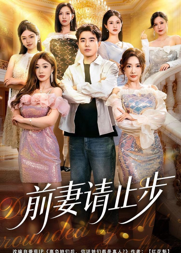 前妻请止步手机电影