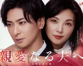 致亲爱的丈夫 完美妻子的谎言手机电影