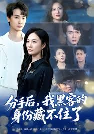 分手后，我黑客的身份藏不住了手机电影