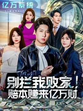 别拦我败家！赔本赚来亿万财手机电影