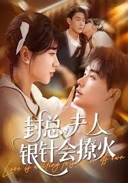 封总，夫人银针会撩火手机电影