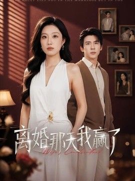 离婚那天我赢了手机电影