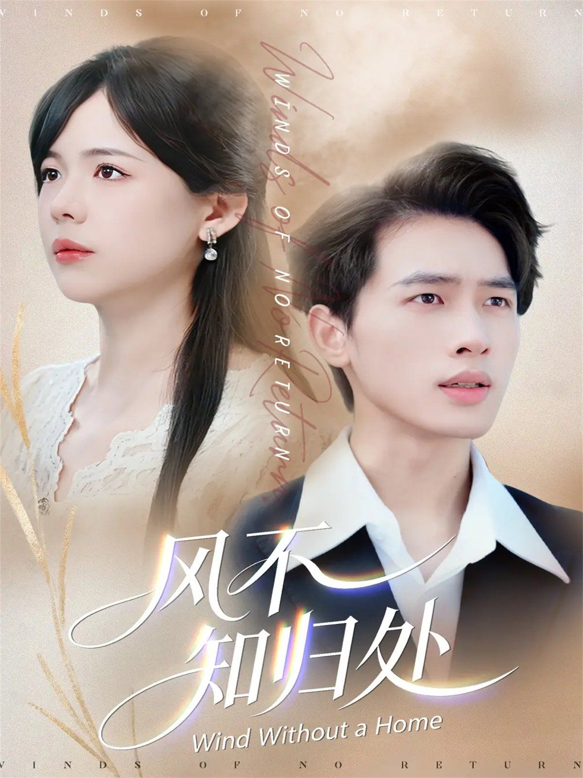 风不知归处手机电影