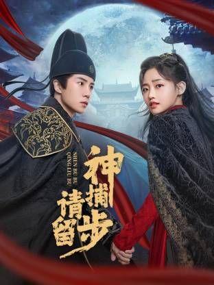 神捕请留步手机电影