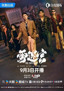 2018国剧《雪迷宫》迅雷下载_中文完整版_百度云网盘720P|1080P资源