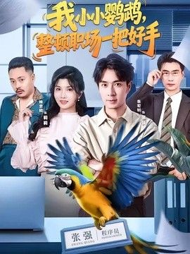 我小小鹦鹉，整顿职场一把好手手机电影