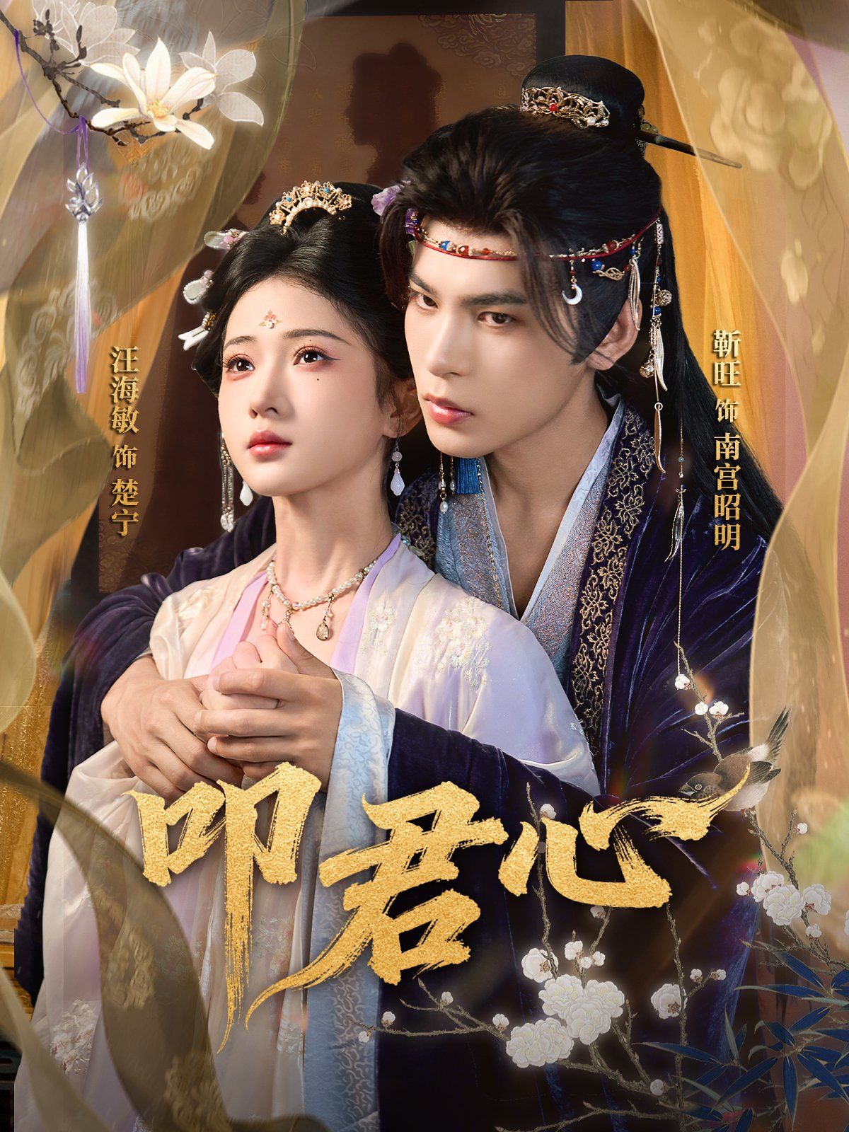 叩君心手机电影