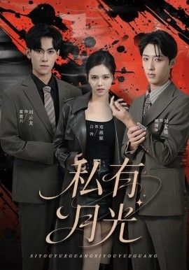 私有月光手机电影