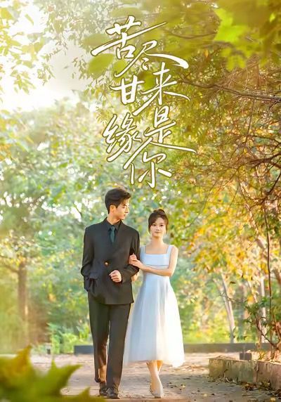 苦尽甘来缘是你手机电影