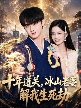 十年道关，冰山老婆解我生死劫手机电影