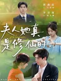 夫人她真是修仙的手机电影