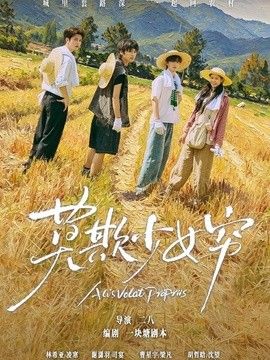 莫欺少女穷（谁都别想拦着我发财）手机电影