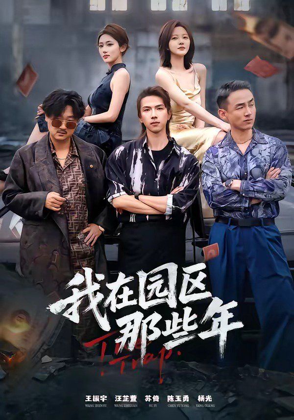 我在园区那些年手机电影