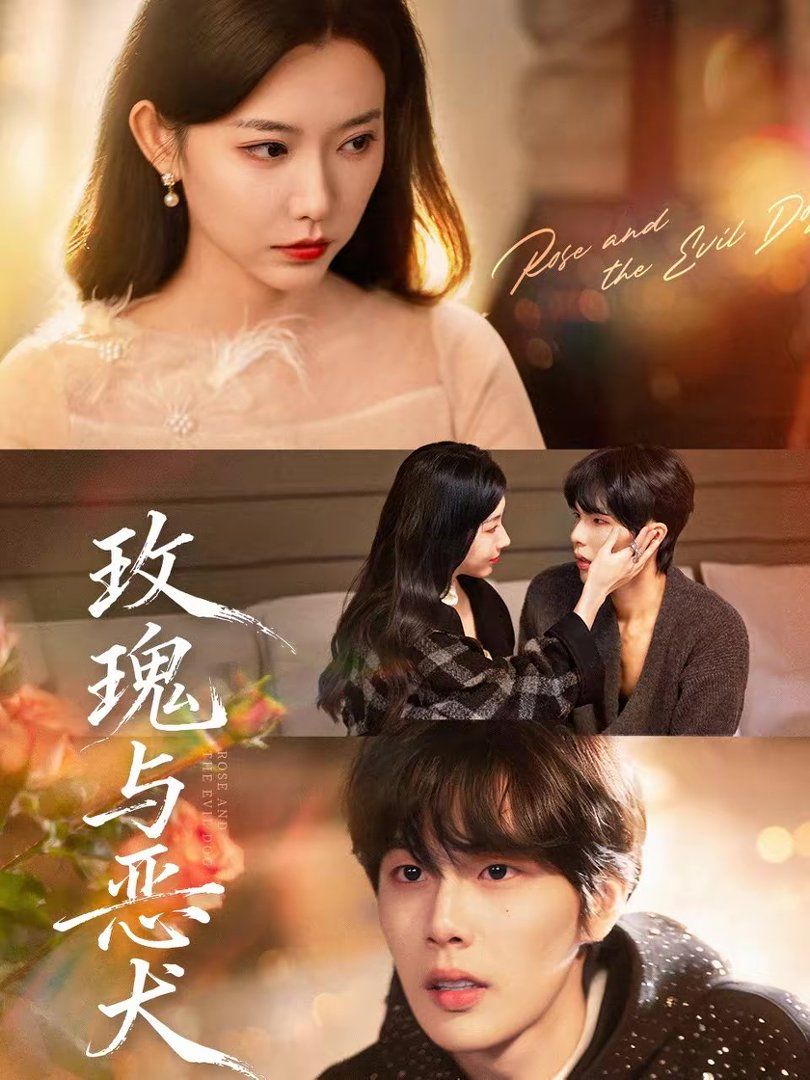 玫瑰与恶犬手机电影