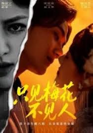 只见梅花不见人手机电影