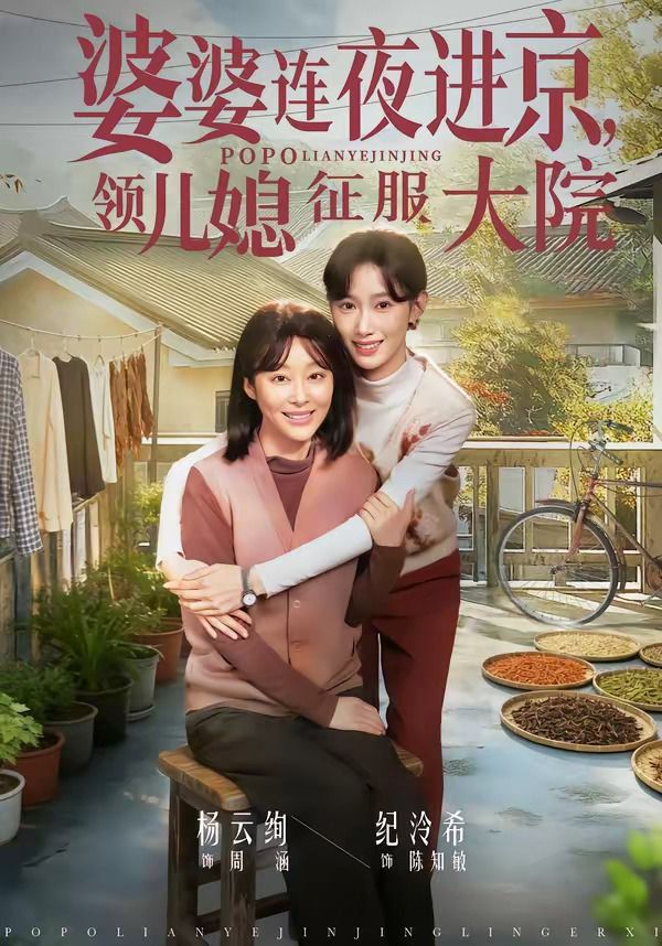 婆婆连夜进京，领儿媳征服大院手机电影