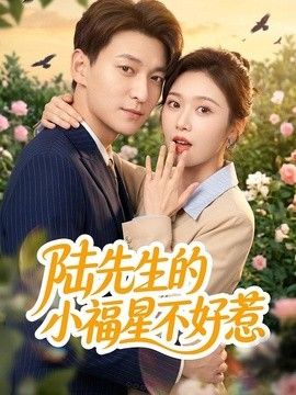 陆先生的小福星不好惹手机电影