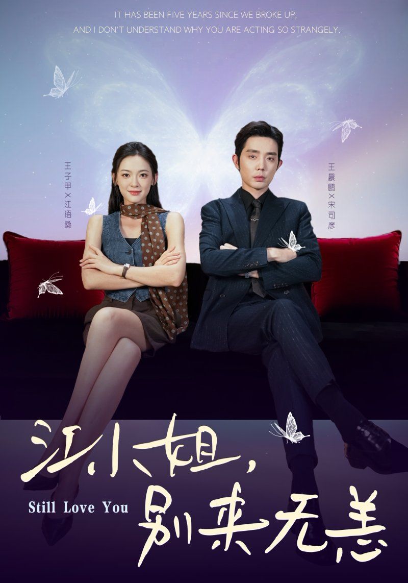 江小姐，别来无恙分手五年，宋先生别纠缠手机电影