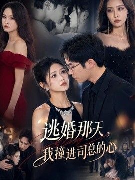 逃婚那天，我撞进司总的心手机电影