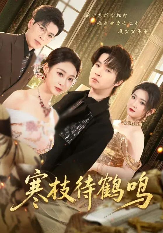 寒枝待鹤鸣手机电影