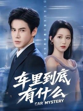 车里到底有什么手机电影