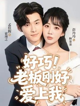 老板刚好爱上我手机电影