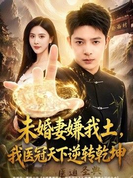 未婚妻嫌我土，我医冠天下逆转乾坤