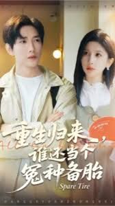 重生归来谁还当个冤种备胎手机电影