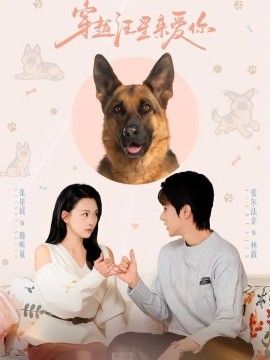穿越汪星来爱你手机电影