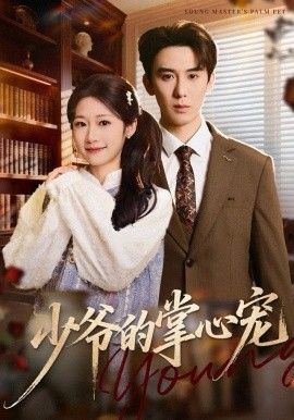 少爷的掌心宠手机电影