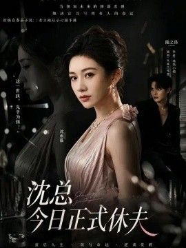 沈总今日正式休夫}