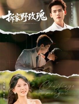 拆家野玫瑰手机电影