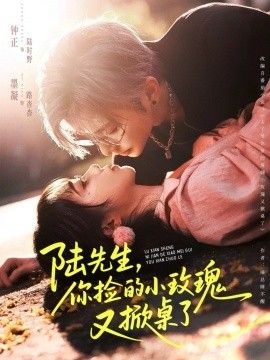 陆先生，你捡的小玫瑰又掀桌了手机电影