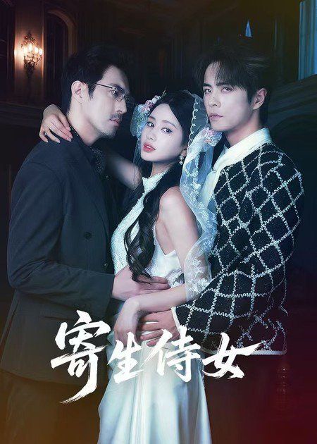 寄生侍女手机电影