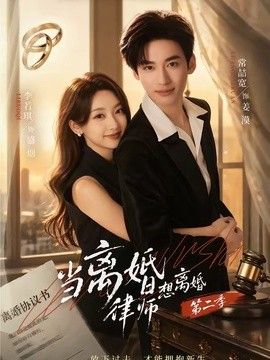 当离婚律师想离婚第二季手机电影