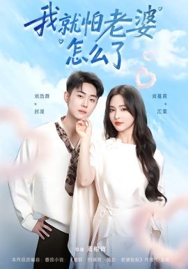 我就怕老婆怎么了手机电影