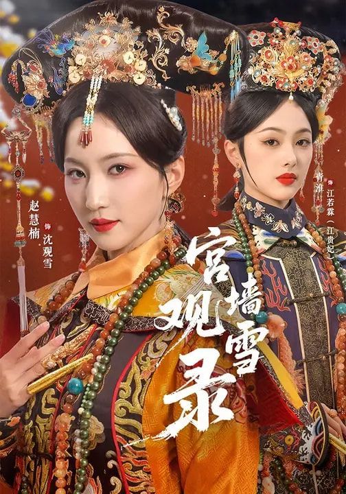 宫墙观雪录手机电影