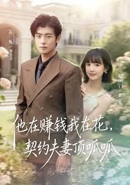 他在赚钱我在花，契约夫妻顶呱呱手机电影