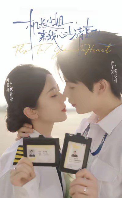 机长小姐，来我心上请直飞手机电影