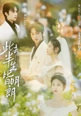 此去半生皆明朗手机电影