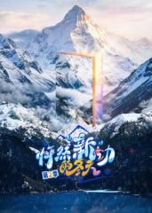 怦然新动的冬天第二季手机电影