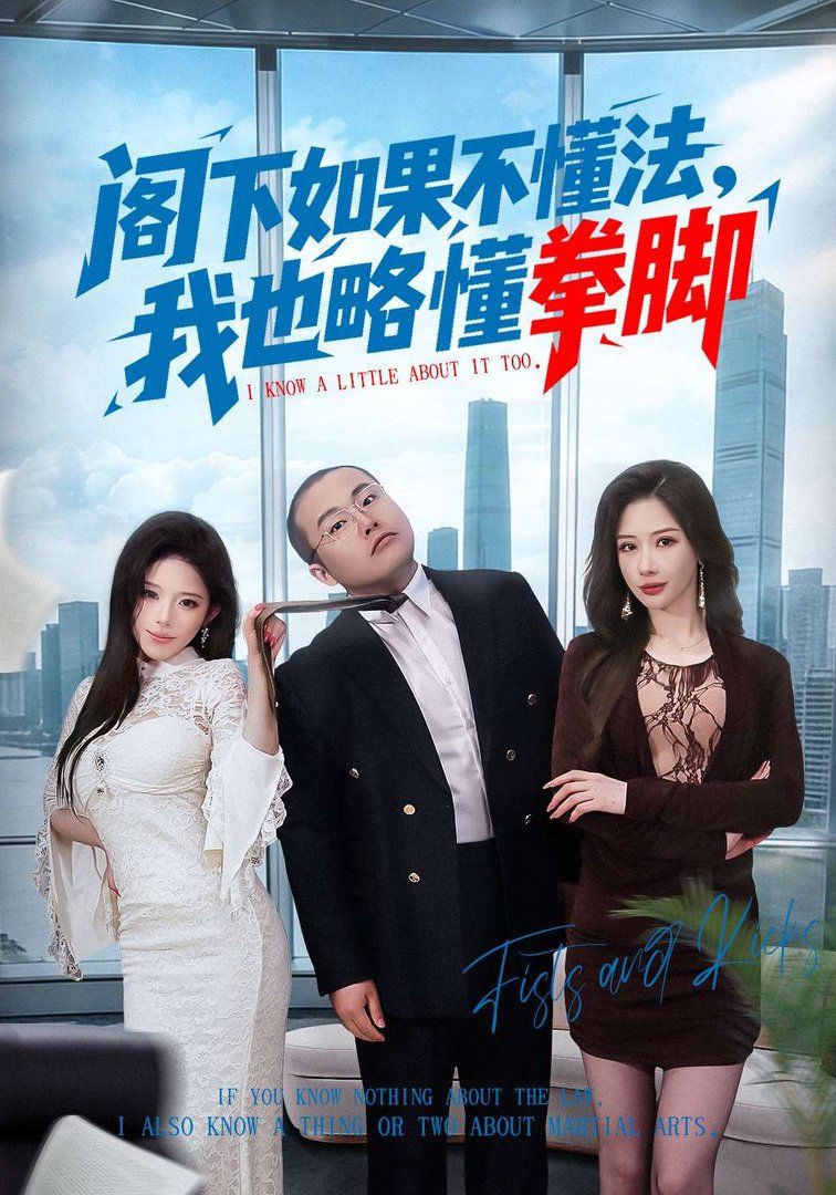 阁下如果不懂法，我也略懂拳脚手机电影