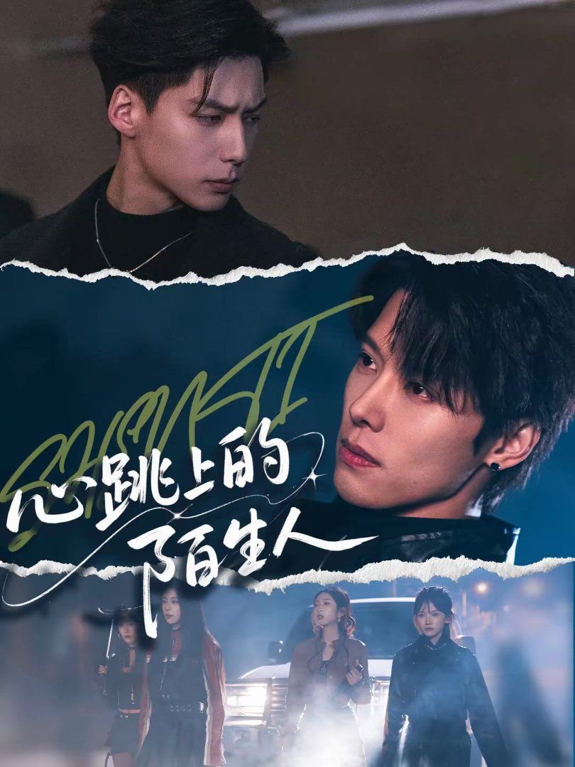 心跳上的陌生人封面图