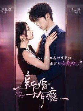 新婚有瘾手机电影