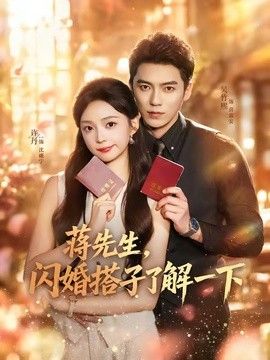 蒋先生，闪婚搭子了解一下}